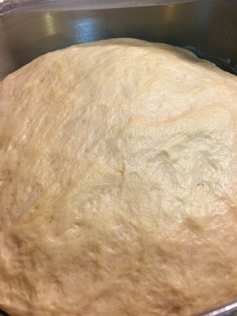 Italian Pizza Dough Recipe