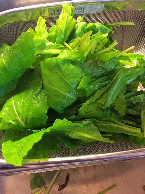 Cooking Fresh Turnip Greens