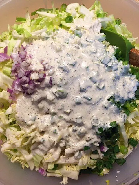 23+ Dinosaur Barbeque Coleslaw Recipe