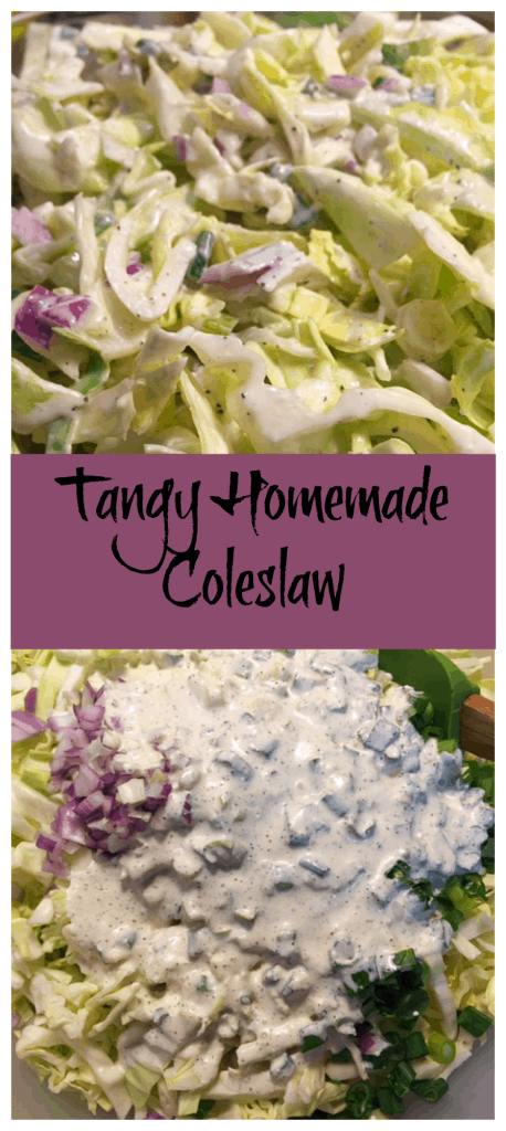 Tangy Homemade Coleslaw