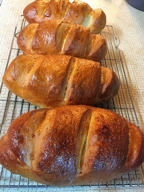 Homemade Bread Loaves From Scratch