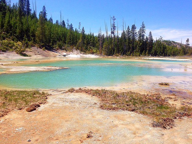 Cool Yellowstone Pics