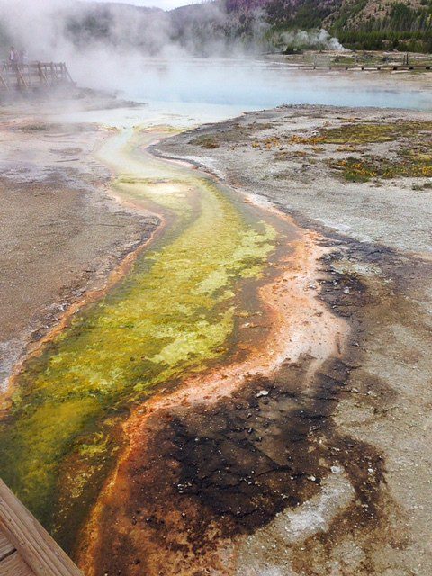 Yellowstone Hot Springs Minerals