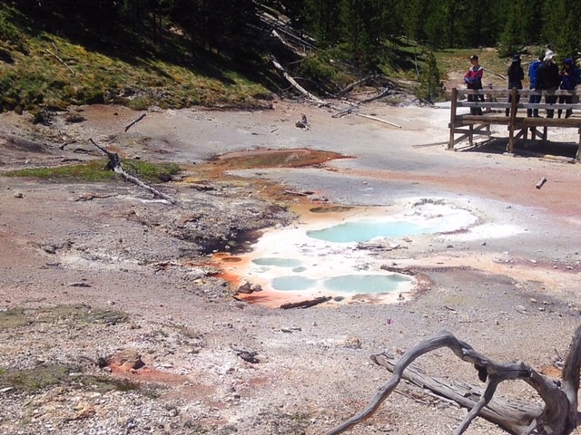 Yellowstone National Park Pictures