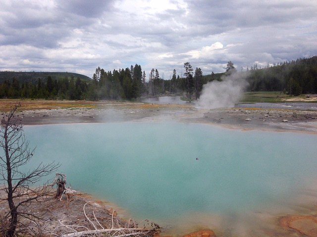 Yellowstone National Park Springs