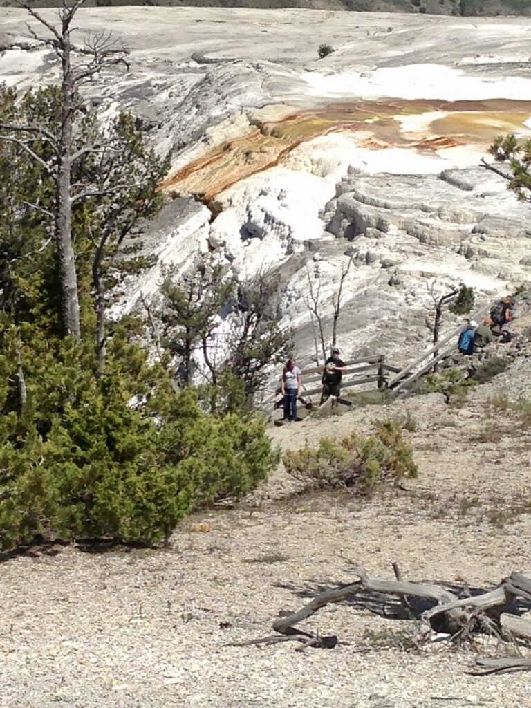 Yellowstone National Park Photos