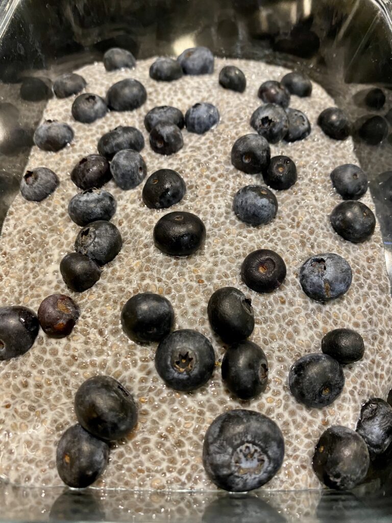 Recipe for Chia Seed Pudding Keto Friendly